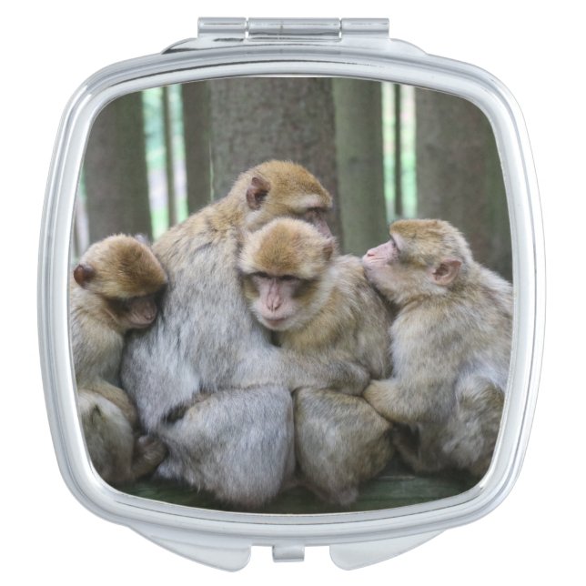 Cute Ape Family Group Hug Photograph Compact Mirror (Front)