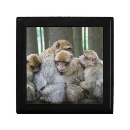 Cute Ape Family Group Hug Photograph Gift Box