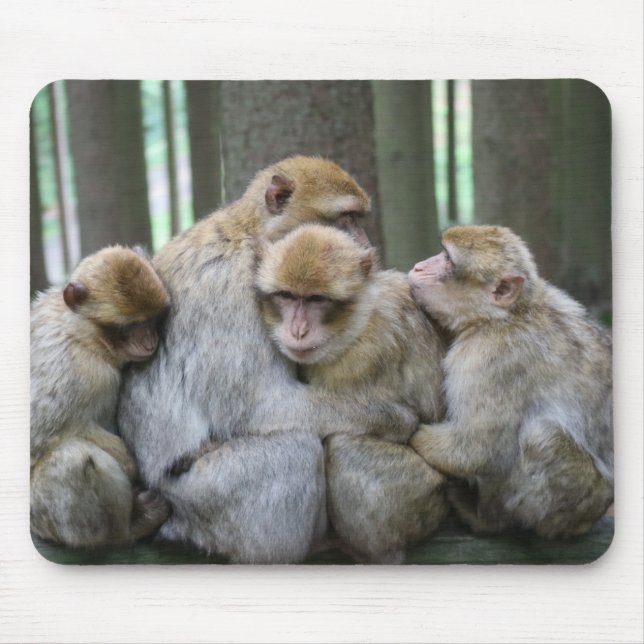 Cute Ape Family Group Hug Photograph Mouse Pad (Front)