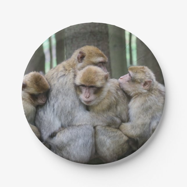 Cute Ape Family Group Hug Photograph Paper Plates (Front)