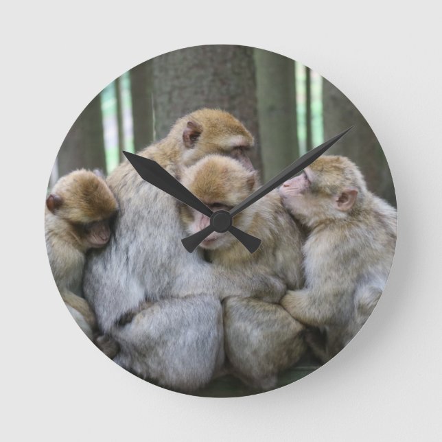 Cute Ape Family Group Hug Photograph Round Clock (Front)