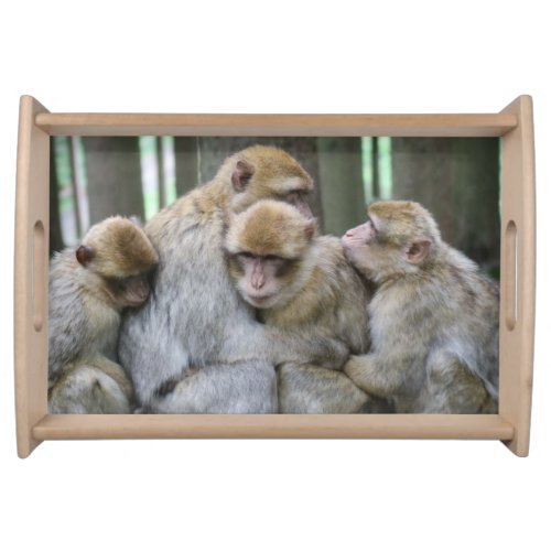 Cute Ape Family Group Hug Photograph Serving Tray