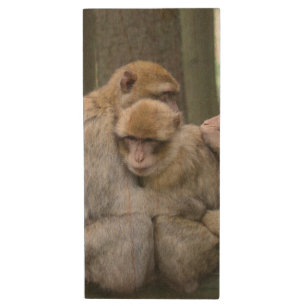 Cute Ape Family Group Hug Photograph Wood Flash Drive