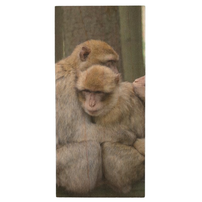 Cute Ape Family Group Hug Photograph Wood Flash Drive (Front Vertical)