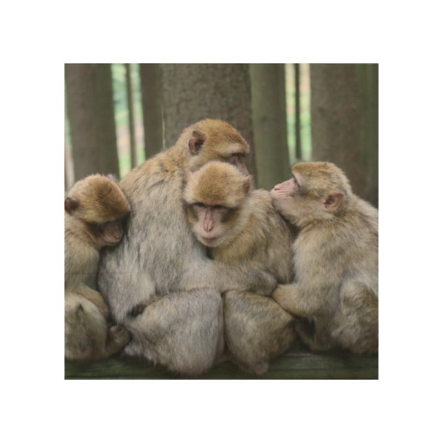 Cute Ape Family Group Hug Wood Wall Art (Front)