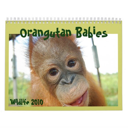 Cute Apes Wildlife Babies Calendar