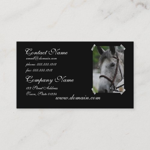 Cute Appaloosa Horse Business Card