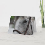 Cute Appaloosa Horse Greeting Card