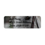 Cute Appaloosa Horse Mailing Label