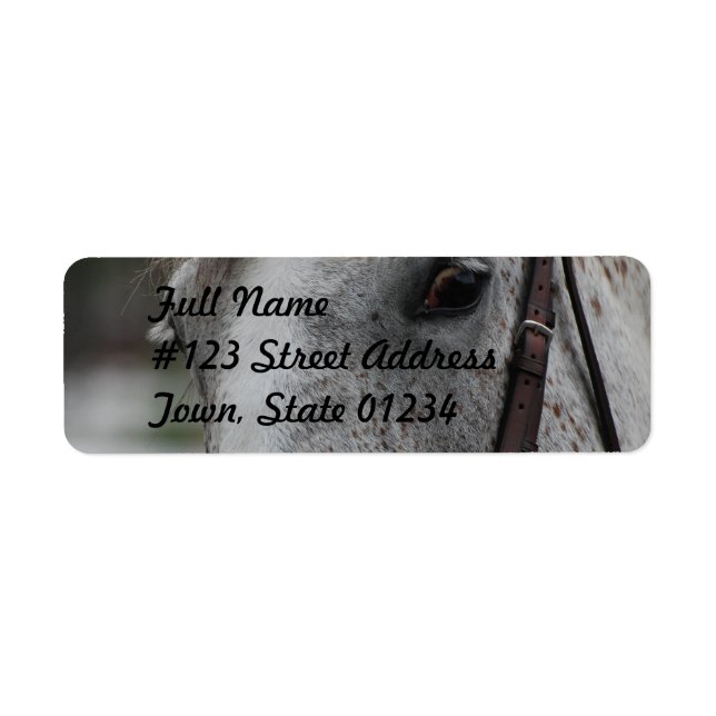 Cute Appaloosa Horse Mailing Label (Front)