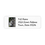 Cute Appaloosa Horse Return Address Mailing Label
