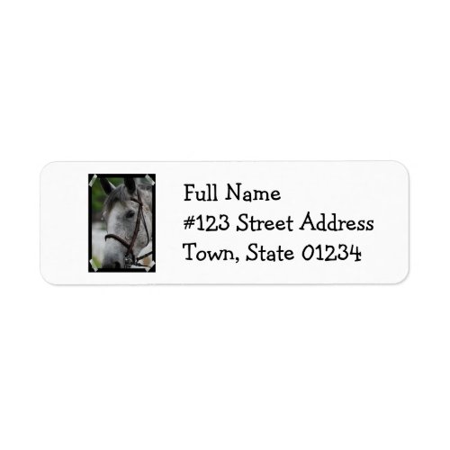 Cute Appaloosa Horse Return Address Mailing Label