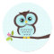Cute Aqua Owl