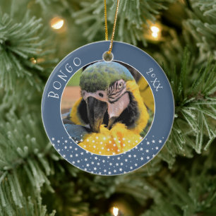 Cute Ara Pet Parrot Photo Star Blue Christmas Ceramic Ornament