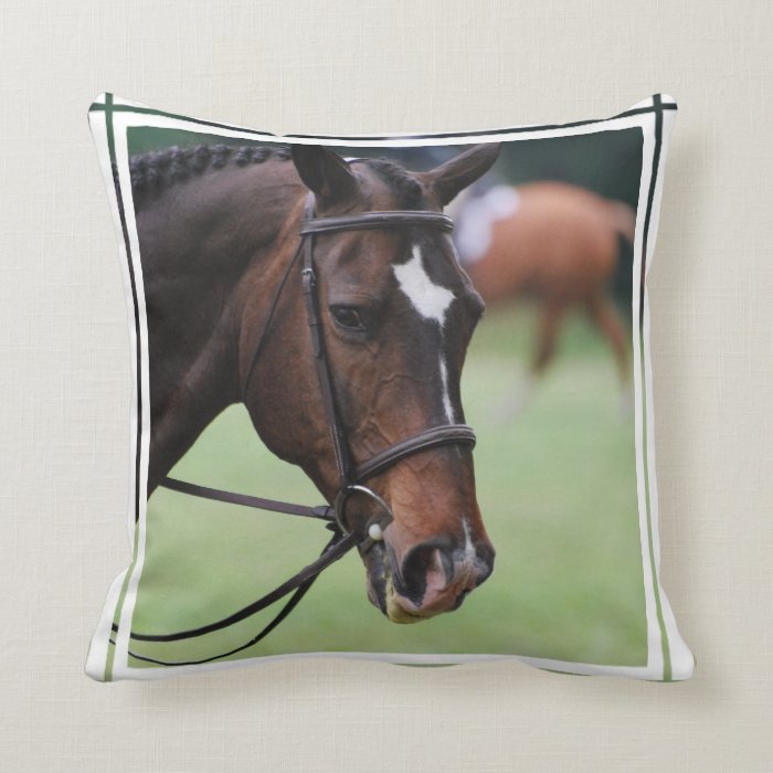Cute Arabian Horse Pillow