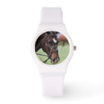 Cute Arabian Horse Watch