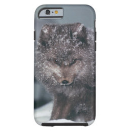 Cute Arctic Blue Phase Fox Winter Mobile Phone Tough iPhone 6 Case