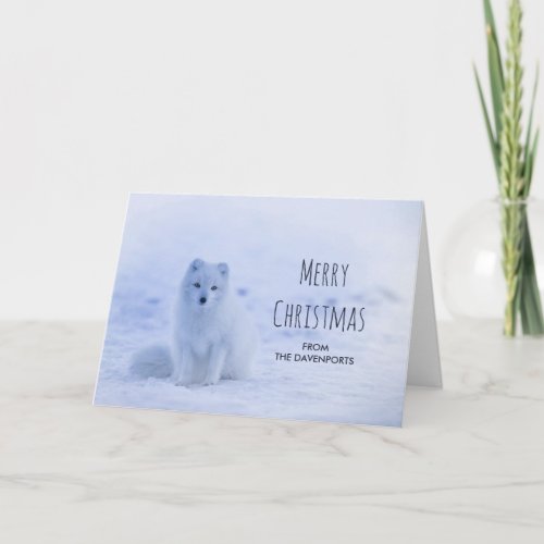 Cute Arctic Fox on Snow Merry Christmas Card