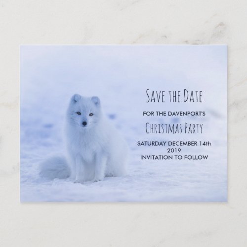 Cute Arctic Fox on Snow Save the Date Postcard