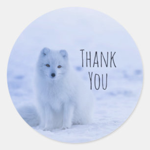Cute Arctic Fox on Snow Thank You Classic Round Sticker