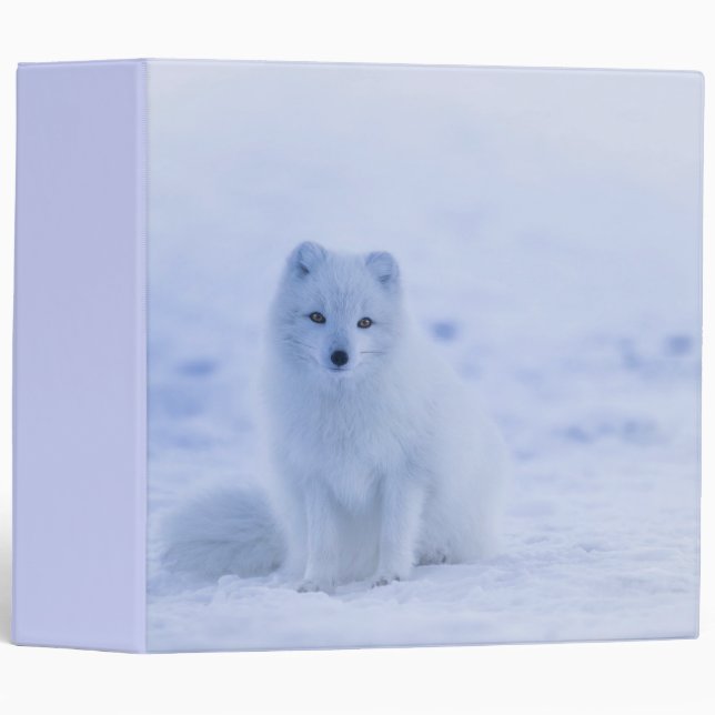 Cute Arctic Fox on Snowy Winter Background 3 Ring Binder (Front/Spine)