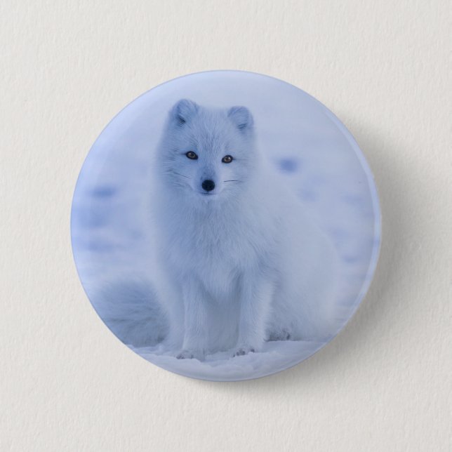 Cute Arctic Fox on Snowy Winter Background Button (Front)