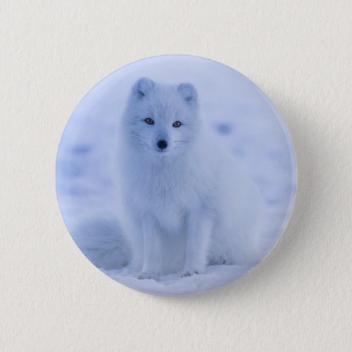 Cute Arctic Fox on Snowy Winter Background Button
