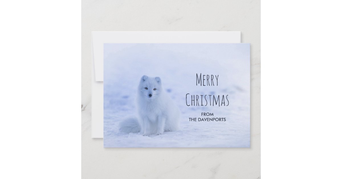 Cute Arctic Fox On Snowy Winter Background Holiday Card Zazzle