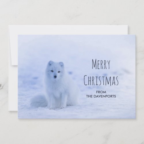 Cute Arctic Fox on Snowy Winter Background Holiday Card
