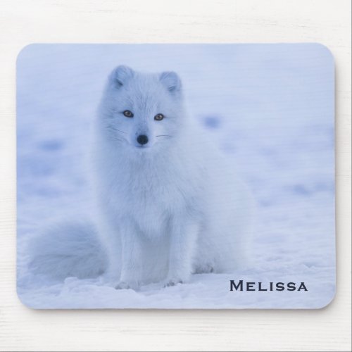 Cute Arctic Fox on Snowy Winter Background Mouse Pad