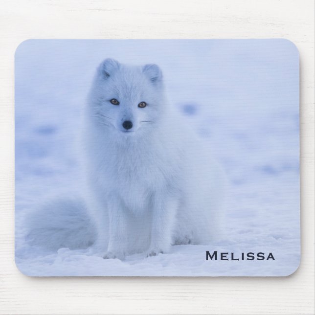 Cute Arctic Fox on Snowy Winter Background Mouse Pad (Front)