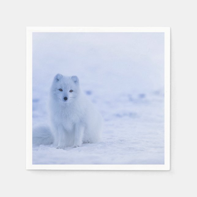 Cute Arctic Fox on Snowy Winter Background Napkins (Front)