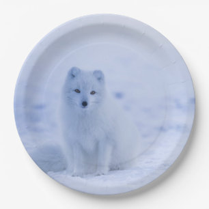 Cute Arctic Fox on Snowy Winter Background Paper Plates