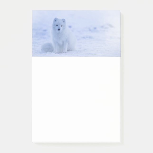 Cute Arctic Fox on Snowy Winter Background Post-it Notes (Front)
