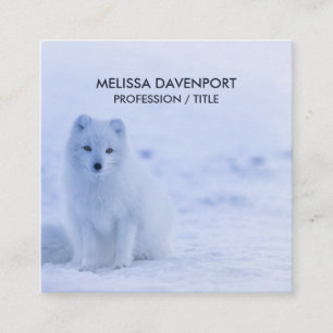 Cute Arctic Fox on Snowy Winter Background Square Business Card