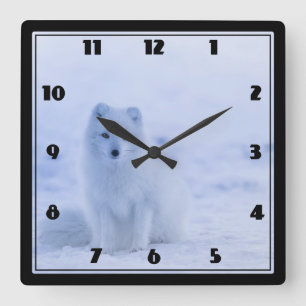 Cute Arctic Fox on Snowy Winter Background Square Wall Clock