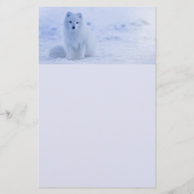Cute Arctic Fox on Snowy Winter Background Stationery (Front)