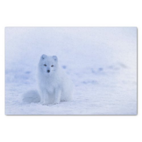 Cute Arctic Fox on Snowy Winter Background Tissue Paper