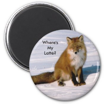 Cute Arctic Red Fox Latte Fridge Magnet by ScrdBlueCollectibles at Zazzle