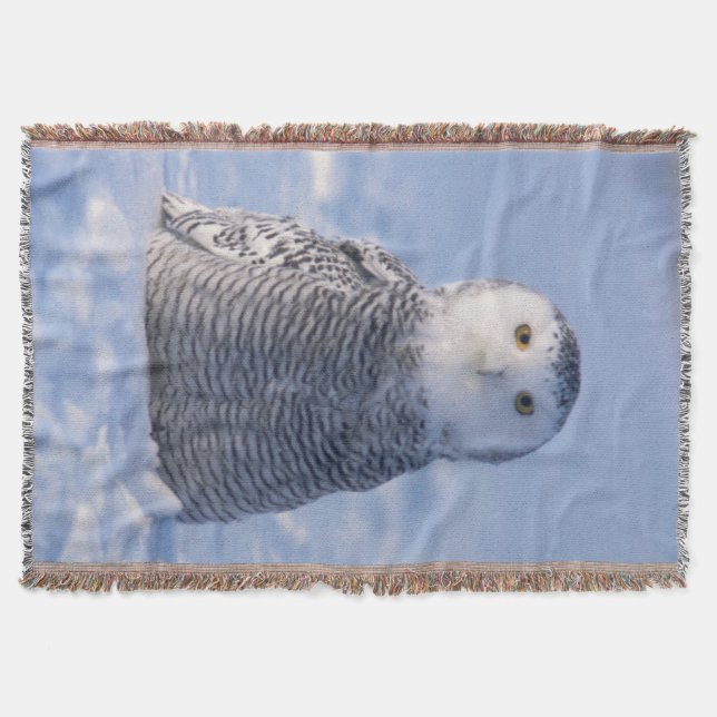 Cute Arctic Snowy Owl Photo Designed Woven Throw Blanket (Front)