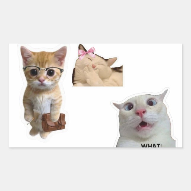 Cute Artistic Aesthetic Sticker for Laptop  (Front)