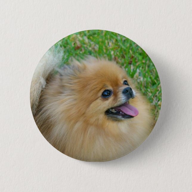 Cute as a Blonde Button (Front)