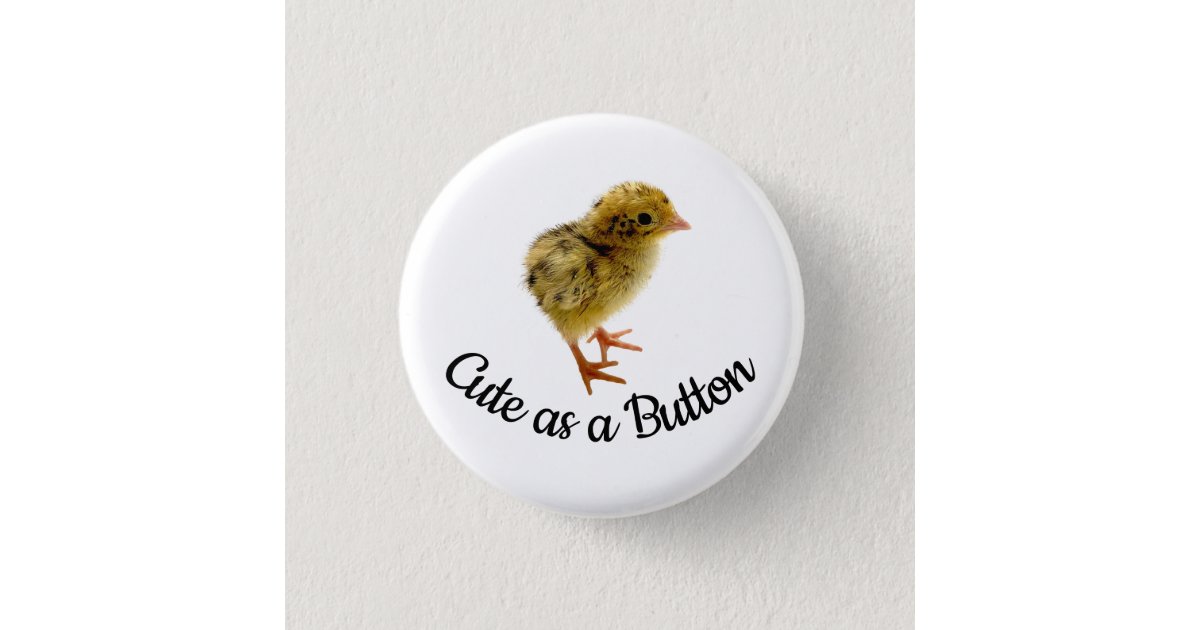 button quail chicken