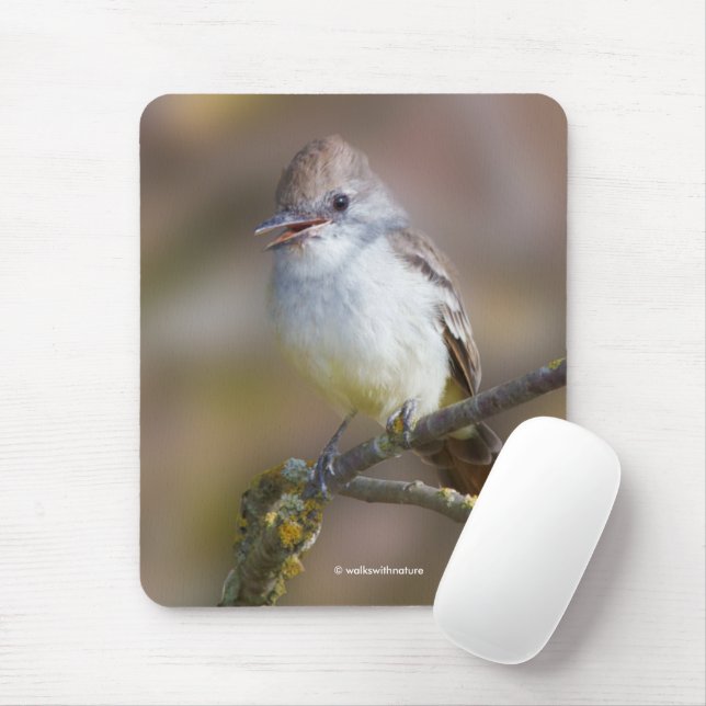 Cute Ash-Throated Flycatcher Songbird on Branch Mouse Pad (With Mouse)