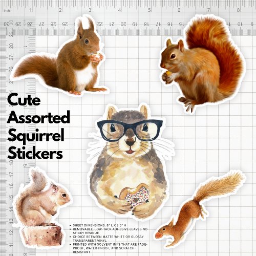 Cute Assorted Squirrel Stickers