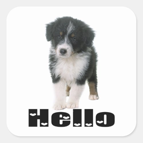 Cute Aussie Puppy Dog Hello Australian Shepherd Square Sticker