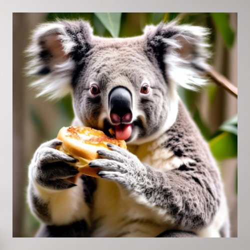 Cute Australian Koala Eating a Meat Pie Poster