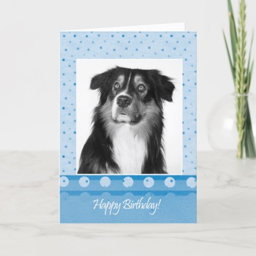 Cute Australian Shepherd Dog Happy Birthday Card