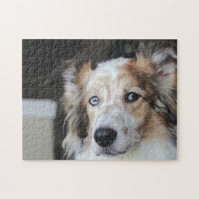 Cute Australian Shepherd Dog Portrait Jigsaw Puzzle (Horizontal)