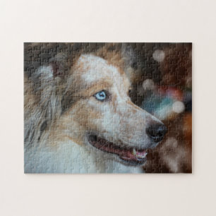 Cute Australian Shepherd Dog Portrait Jigsaw Puzzle
